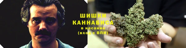мяу мяу кристалл Магас