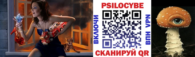 OMG онион Палласовка Псилоцибиновые грибы GOLDEN TEACHER